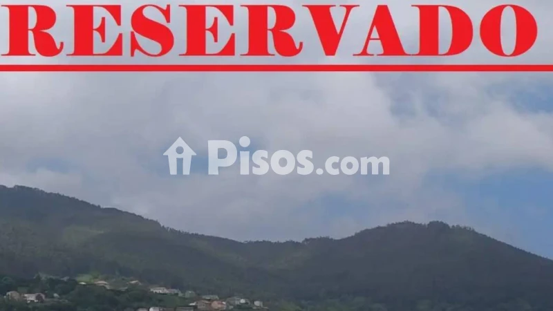 Pis – Cariño, Ortegal