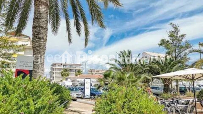 Pis – Altea