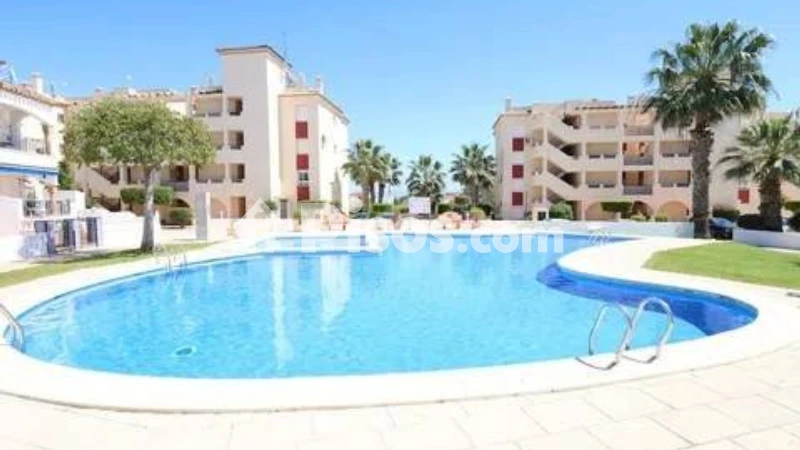 Pis – Orihuela