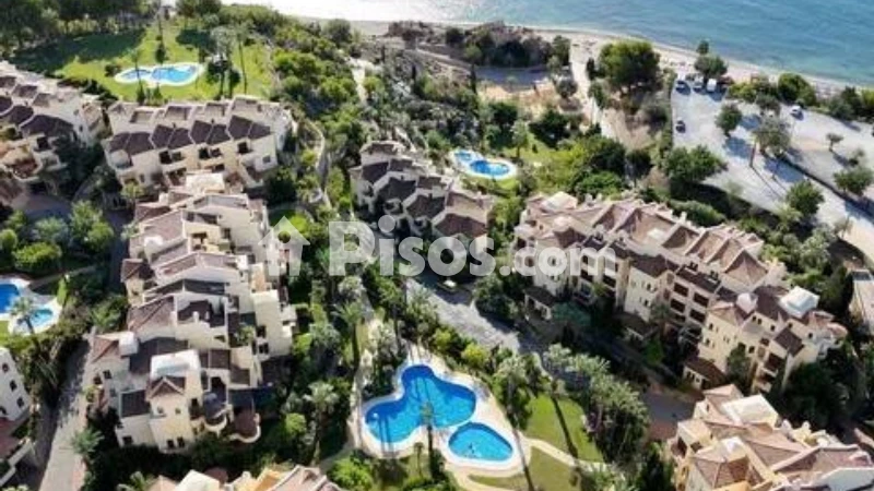 Pis – Altea