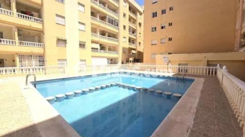Piso – Torrevieja, Europa