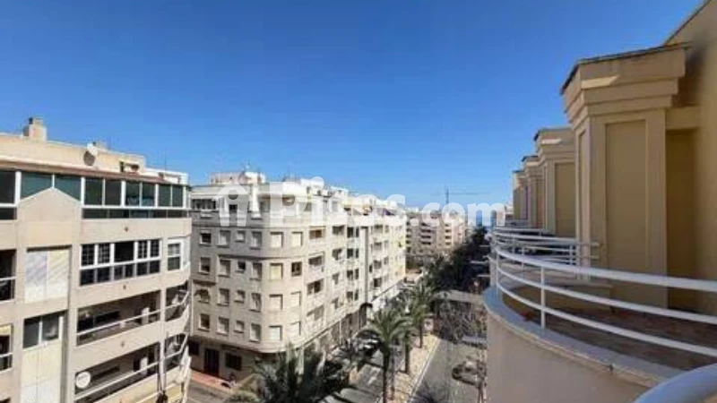 Pis – Torrevieja