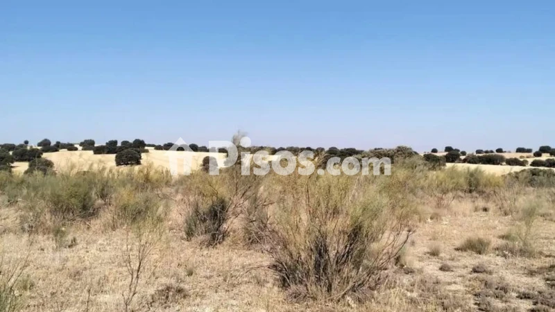 Terreno en venta en Munera