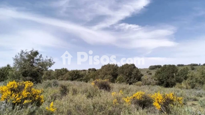 Terreno en venta en Calle del Rosario