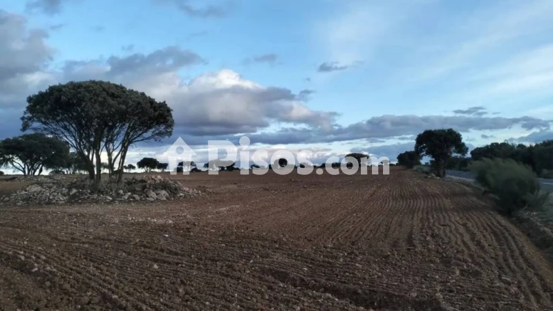 Terreno en venta en Calle N-A, -1