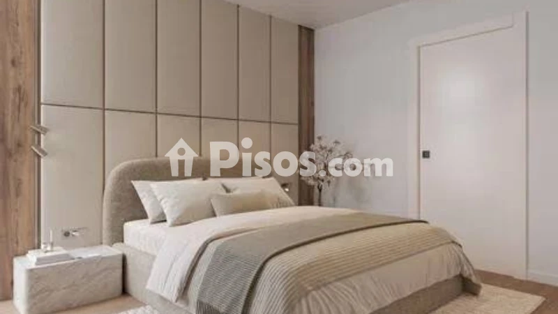 Pis – Elche/Elx, el Pla de Sant Josep, el Baix Vinalopó