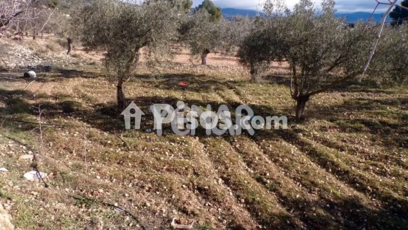 Terreno en venta en Onil