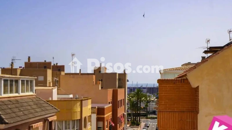 Pis – Santa Pola