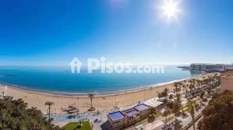 Pis – Alicante - Alacant