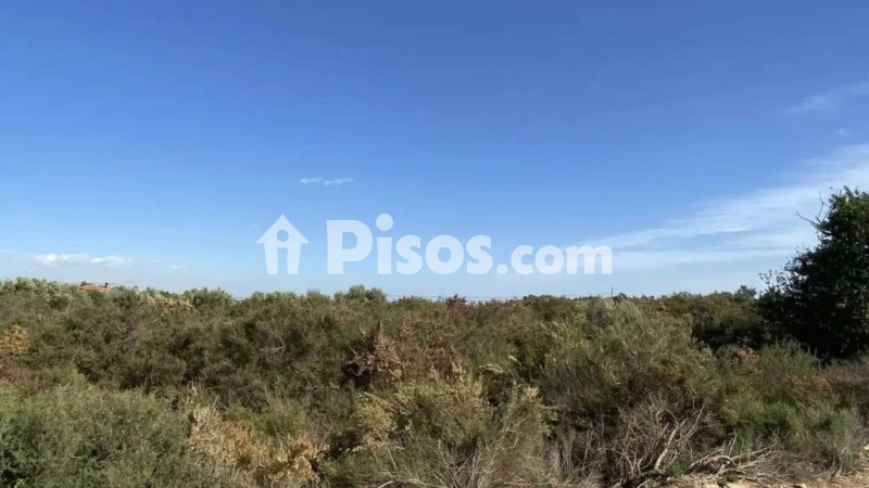 Terreno en venta en L'Altet-Els Bassars