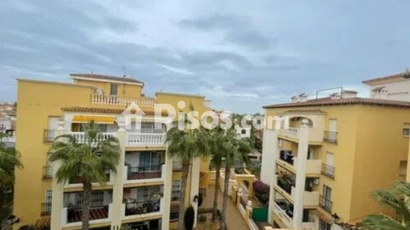 Pis – Torrevieja, La Rosaleda, Cabo Cervera-Playa la Mata