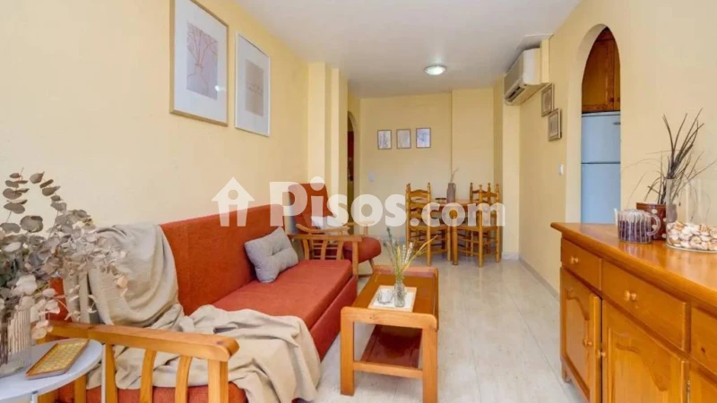 Pis – Torrevieja