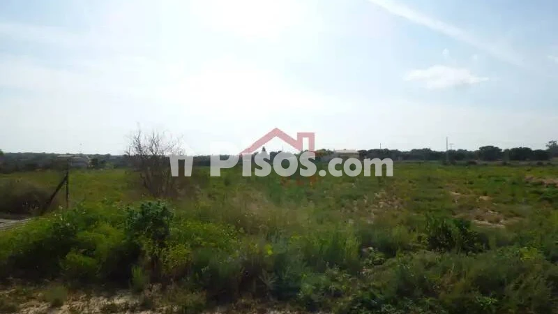 Terreno en venta en L'Altet-Els Bassars