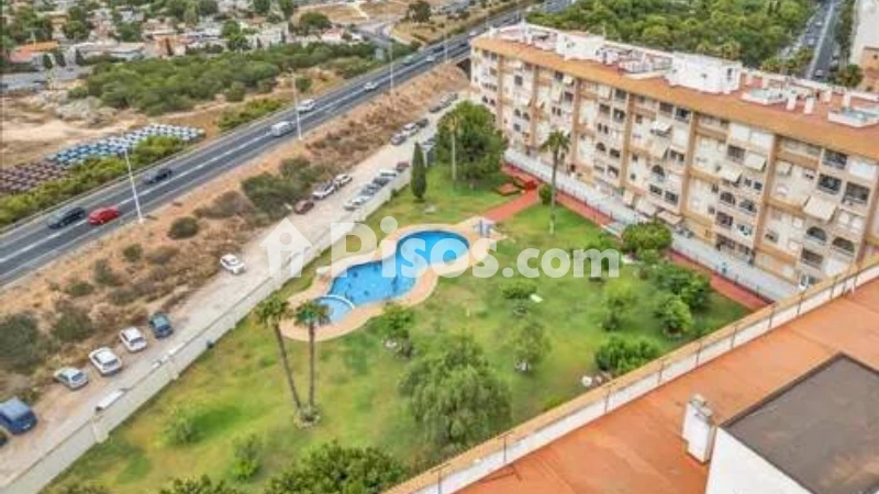 Pis – Torrevieja