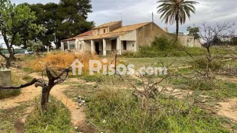 Pis – Elx / Elche, la Vila, el Baix Vinalopó