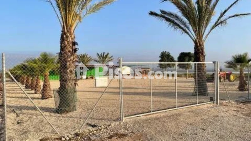 Casa – Elche, Regs del Porvenir, la Marina
