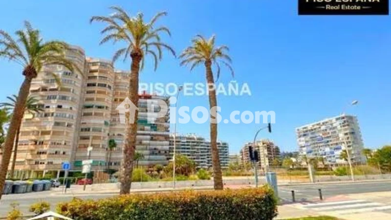 Pis – Alicante - Alacant