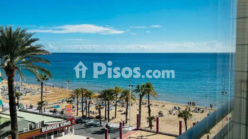 Piso