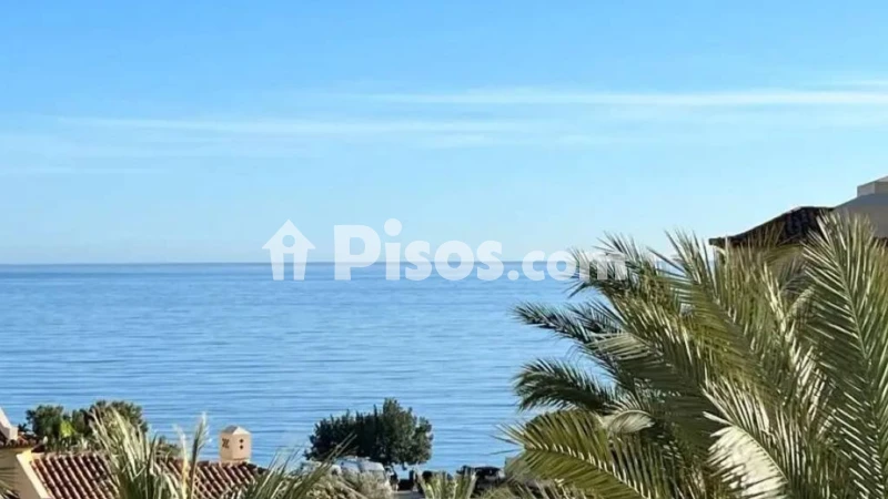Pis – Altea