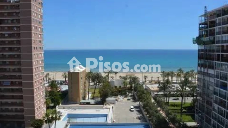 Pis – Alicante - Alacant