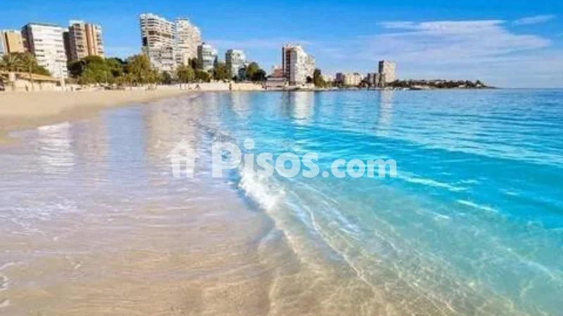 Fotografía del inmueble reportado: 2.500 €/mes — Alicante, Alicante