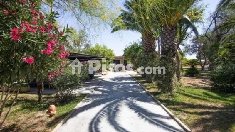 Casa – Elx - Elche