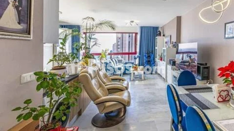 Pis – Benidorm