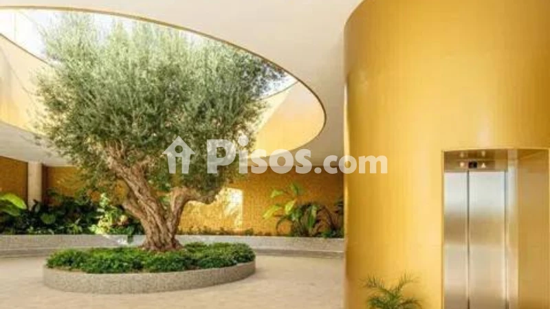 Piso – Benidorm