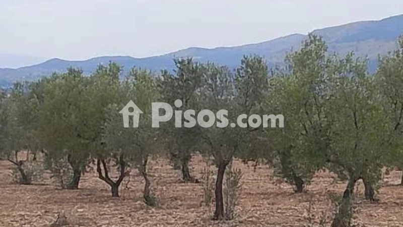 Terreno en venta en Onil