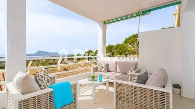 Pis – Altea