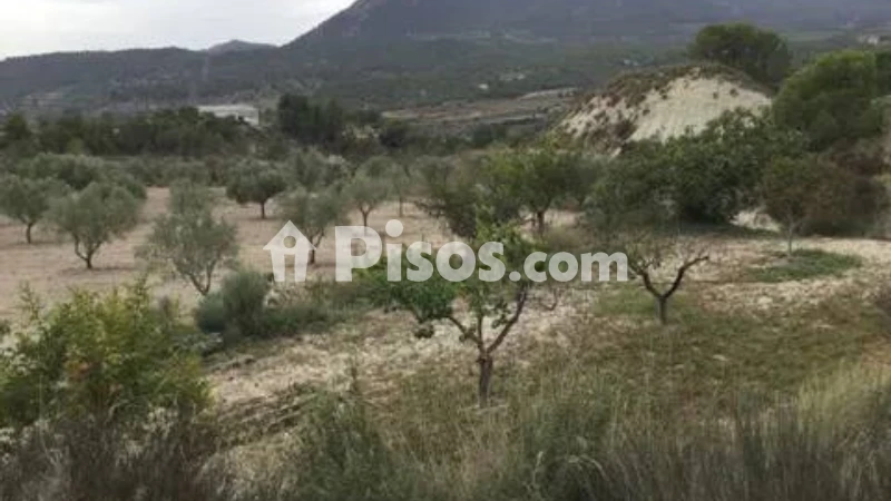Terreno en venta en Calle Partida de La Pedrechina, Tibi No Number