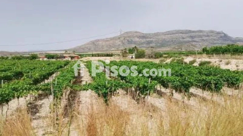 Terreno en venta en Agost