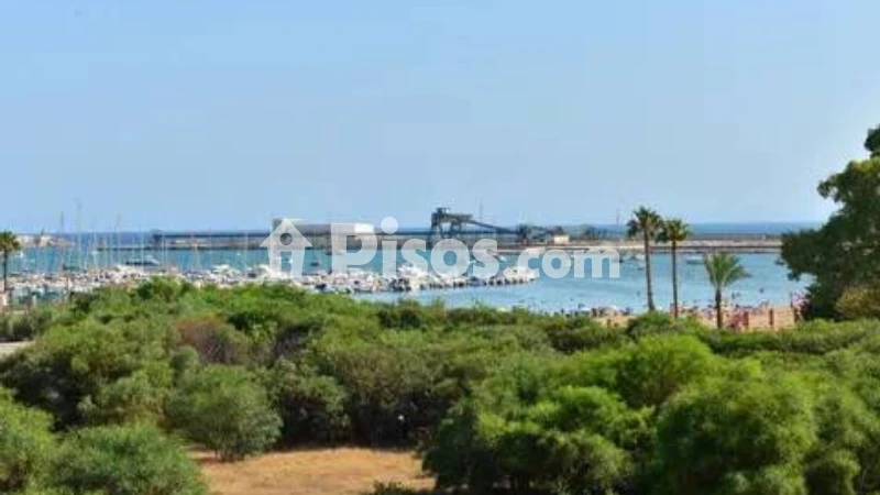 Pis – Torrevieja