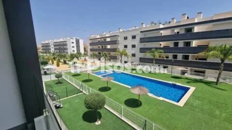Pis – Orihuela