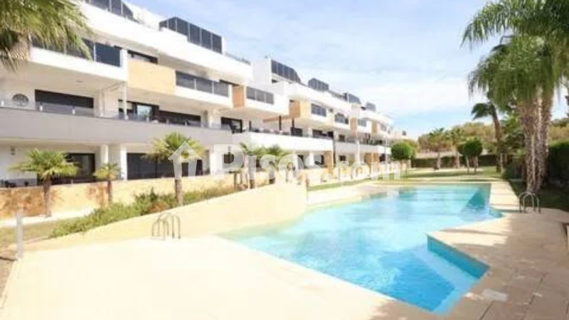 Pis – Orihuela