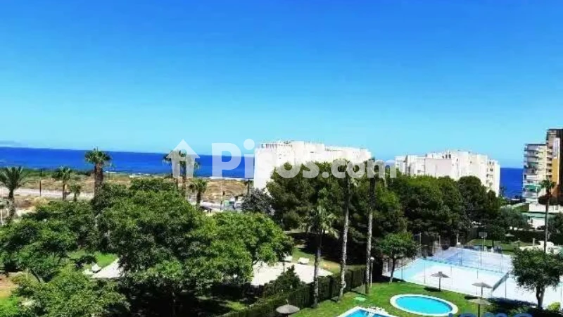 Piso – el Campello, l'Alacantí