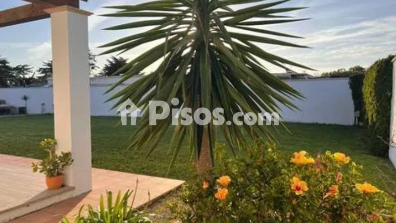 Fotografía del inmueble reportado: 1.500 €/mes — Cádiz, Cádiz