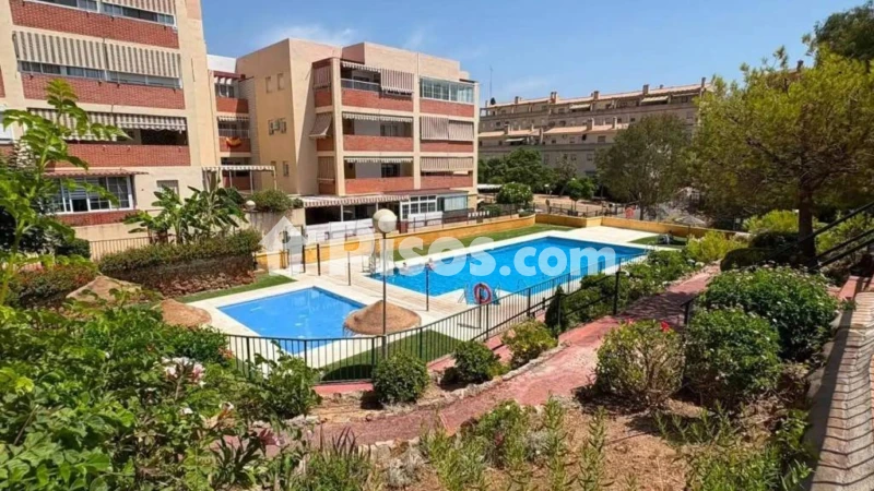 Fotografía del inmueble reportado: 1.250 €/mes — Málaga, Málaga