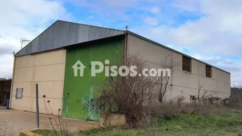 Nave industrial en venta en Calle Calle Diseminados No Number