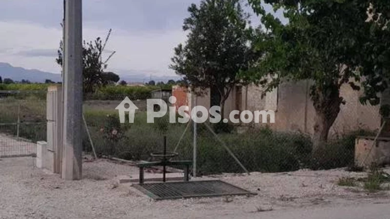 Piso – Rafal