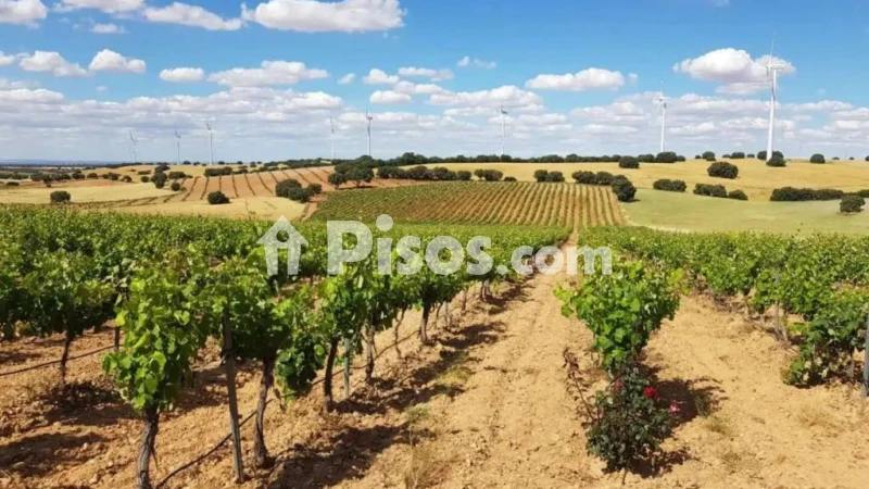 Terreno en venta en Calle Calle Diseminado, 86