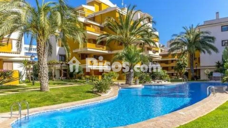 Pis – Torrevieja