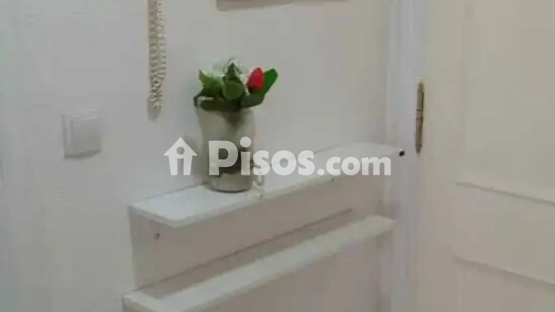 Piso