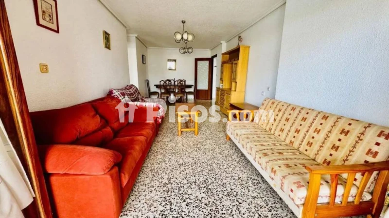 Pis – Torrevieja