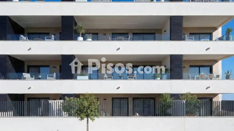 Piso