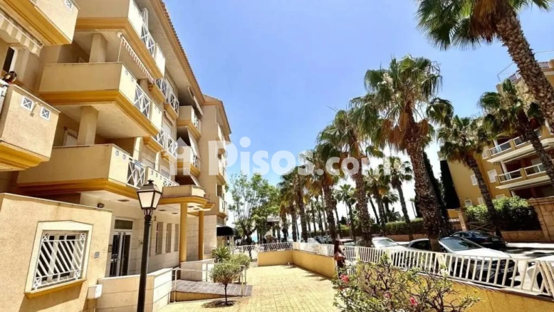 Pis – Orihuela, Urbanización La Zenia II