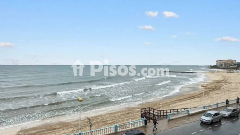 Piso – Torrevieja, El Palmeral