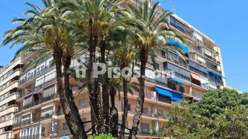 Pis – Orihuela