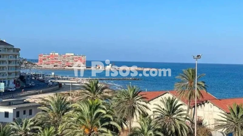 Pis – Torrevieja
