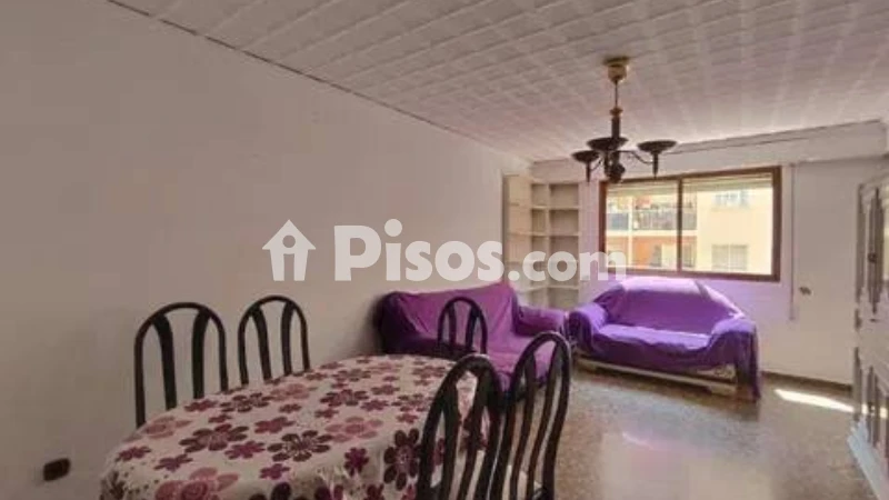Pis – Dénia, Barri París-Pedrera / Camp Roig